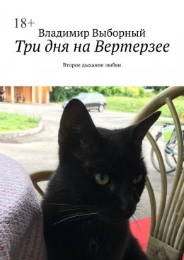 Скачать книгу Три дня на Вертерзее. Второе дыхание любви