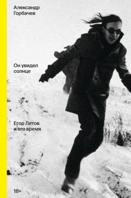 Скачать книгу Он увидел солнце. Егор Летов и его время