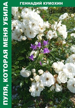 Скачать книгу Пуля, которая меня убила.
