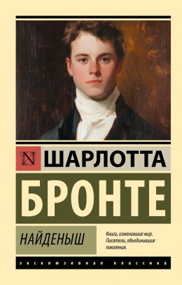Скачать книгу Найденыш