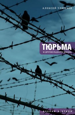 Скачать книгу Тюрьма и другие радости жизни: очерки и стихи