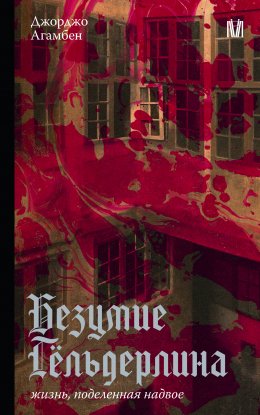 Скачать книгу Безумие Гёльдерлина. Жизнь, поделенная надвое