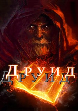 Скачать книгу Друид