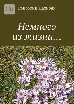 Скачать книгу Немного из жизни…