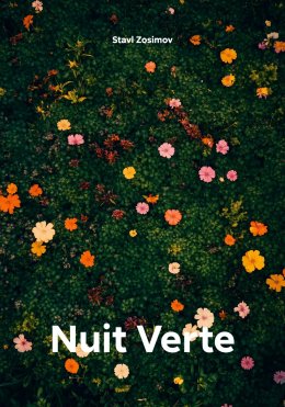 Скачать книгу Nuit Verte