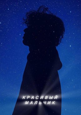 Скачать книгу Красивый мальчик