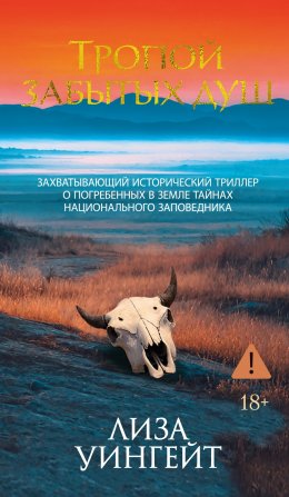 Скачать книгу Тропой забытых душ
