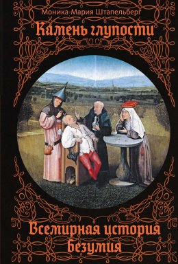 Скачать книгу Камень глупости. Всемирная история безумия