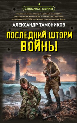 Скачать книгу Последний шторм войны