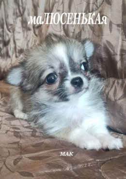 Скачать книгу маЛЮСЕНЬКАя