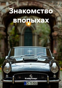 Скачать книгу Знакомство впопыхах