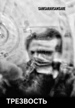 Скачать книгу Трезвость