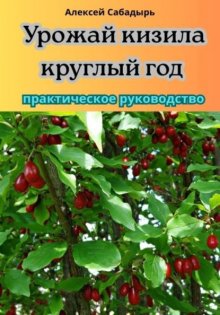 Урожай кизила круглый год практическое руководство