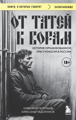 От татей к ворам. История организованной преступности в России