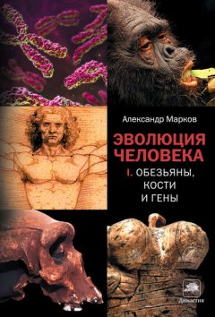 Скачать книгу Обезьяны, кости и гены