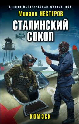 Скачать книгу Сталинский сокол. Комэск