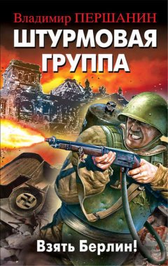 Скачать книгу Штурмовая группа. Взять Берлин!