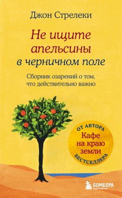 Скачать книгу Не ищите апельсины в черничном поле. Сборник озарений о том, что действительно важно