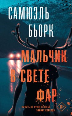 Скачать книгу Мальчик в свете фар