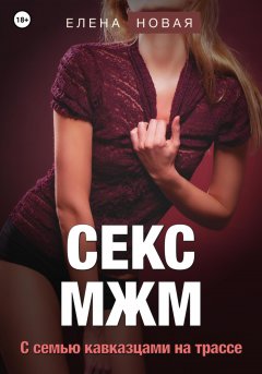 Скачать книгу Секс МЖМ. С семью кавказцами на трассе