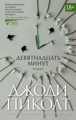 Скачать книгу Девятнадцать минут