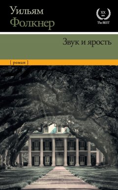 Скачать книгу Звук и ярость