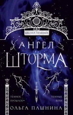 Скачать книгу Школа темных. Ангел шторма