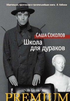 Скачать книгу Школа для дураков