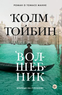 Скачать книгу Волшебник