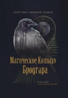 Скачать книгу Магическое кольцо Бродрага. Потерянная любовь. Книга 2