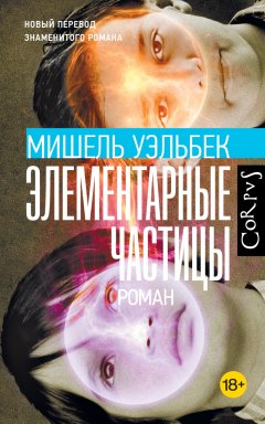 Скачать книгу Элементарные частицы