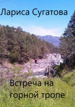 Скачать книгу Встреча на горной тропе