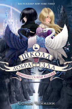 Скачать книгу Школа Добра и Зла. Принцесса или ведьма