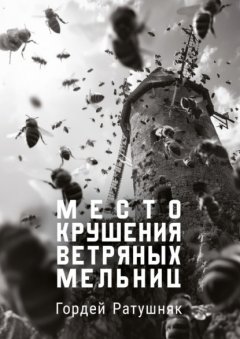 Скачать книгу Место крушения ветряных мельниц