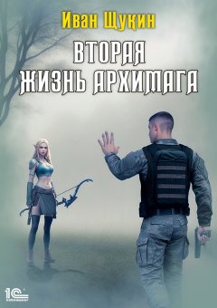 Скачать книгу Вторая жизнь архимага