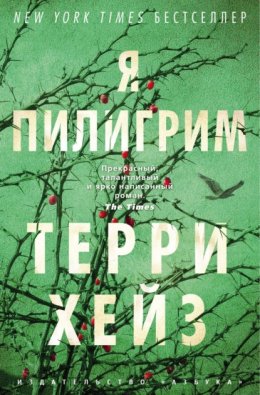 Скачать книгу Я Пилигрим