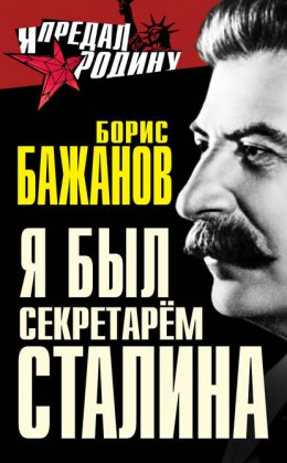 Скачать книгу Я был секретарем Сталина