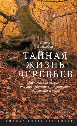 Скачать книгу Тайная жизнь деревьев. Что они чувствуют, как они общаются – открытие сокровенного мира