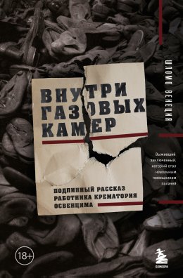 Скачать книгу Внутри газовых камер. Подлинный рассказ работника крематория Освенцима