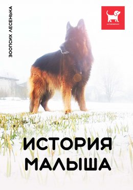 Скачать книгу История Малыша