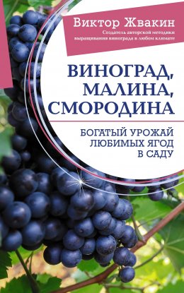 Скачать книгу Виноград, малина, смородина. Богатый урожай любимых ягод в саду