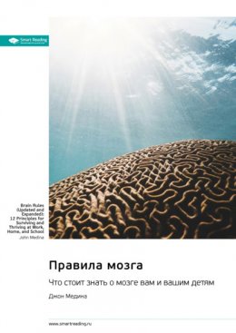 Скачать книгу Правила мозга. Что стоит знать о мозге вам и вашим детям. Джон Медина. Саммари