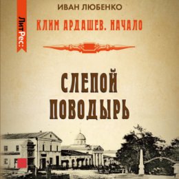 Скачать книгу Слепой поводырь