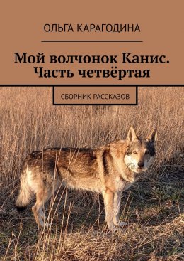 Скачать книгу Мой волчонок Канис. Часть четвёртая. Сборник рассказов