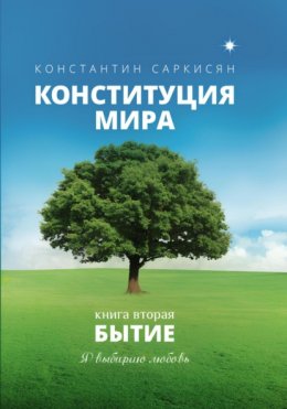 Скачать книгу Конституция мира. Книга вторая. Бытие