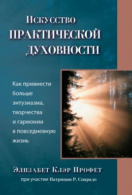 Скачать книгу Искусство практической духовности. Как привнести больше энтузиазма, творчества и гармонии в повседневную жизнь