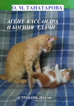 Скачать книгу Агент Кассандра и Богиня Удачи