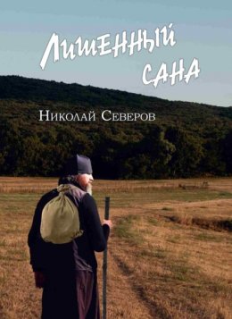 Скачать книгу Лишенный сана