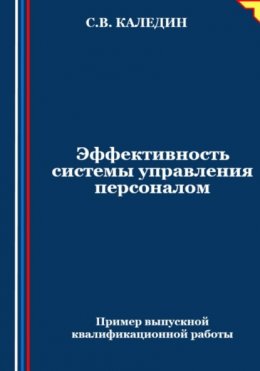 Скачать книгу Эффективность системы управления персоналом