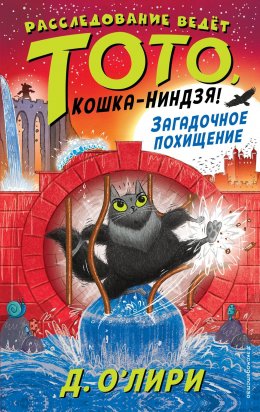 Скачать книгу Загадочное похищение